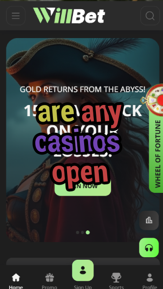 are any casinos open-asdasdzhjkds.com